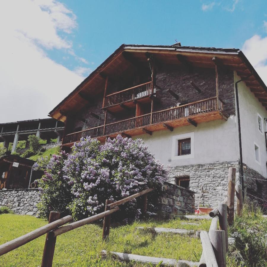 La Thuillettaz B&B Saint-Rhemy-En-Bosses Luaran gambar