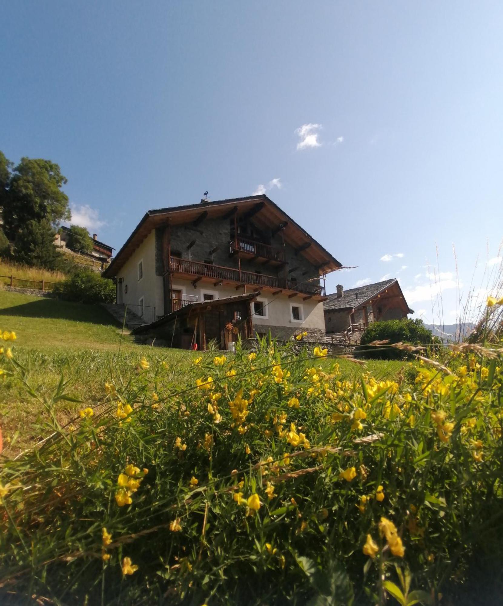 La Thuillettaz B&B Saint-Rhemy-En-Bosses Luaran gambar